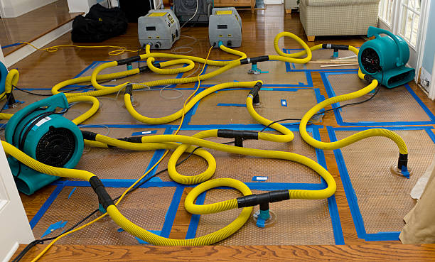 Professional Crawl Space Water Removal technician working in Shorewood, IL